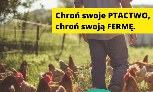 Zdjęcie do Ptasia grypa-Komunikat PLW w Świebodzinie z dnia 22.10.2026r.